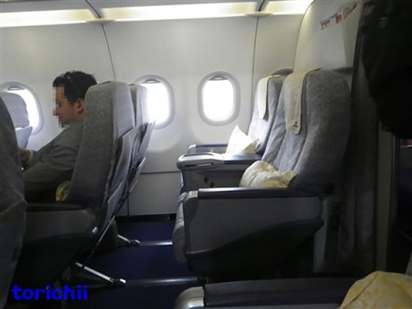 2012年3月 中国国際航空 / エアチャイナ CA184 搭乗記