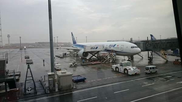 2015年12月 全日空 / ANA NH224 搭乗記