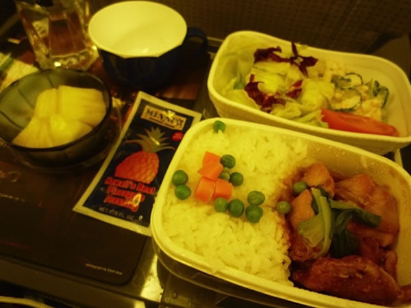 2012年12月 日本航空 / JAL JL89  搭乗記