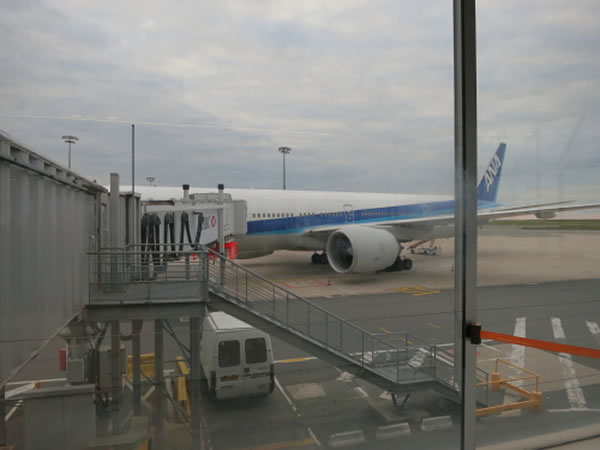 2015年1月 全日空 / ANA NH216 搭乗記