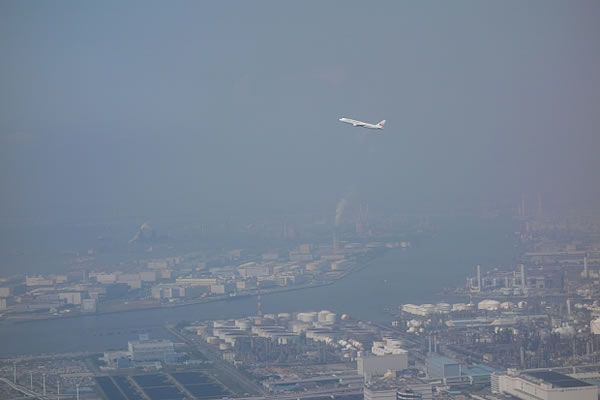 2014年6月 日本航空 / JAL JL91 搭乗記