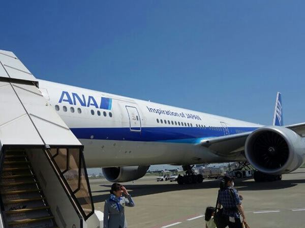 2015年6月 全日空 / ANA NH862 / NH1160 搭乗記