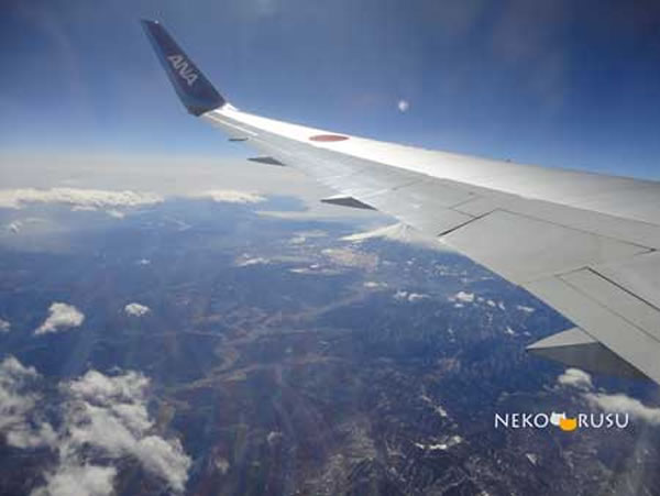2013年2月 全日空 / ANA NH865 / NH1165 搭乗記