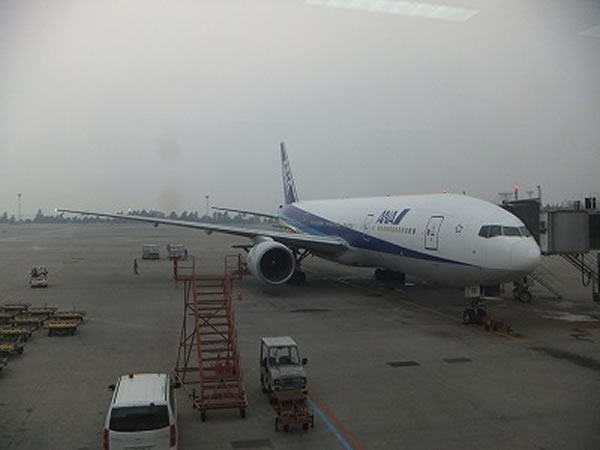2013年8月 全日空 / ANA NH868 / NH1166 搭乗記