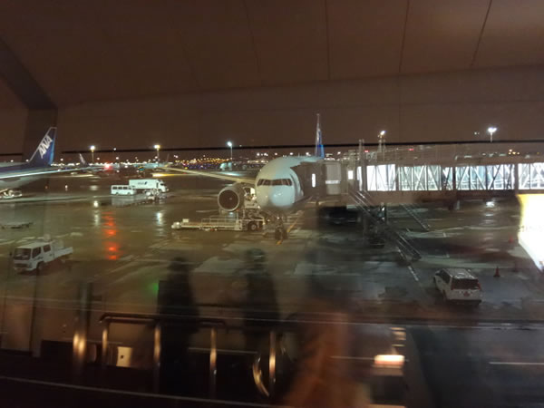 2014年3月 全日空 / ANA NH868 / NH1166 搭乗記