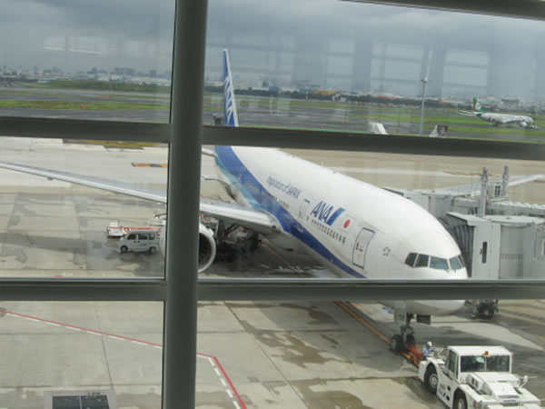 2014年8月 全日空 / ANA NH969 / NH1259 搭乗記